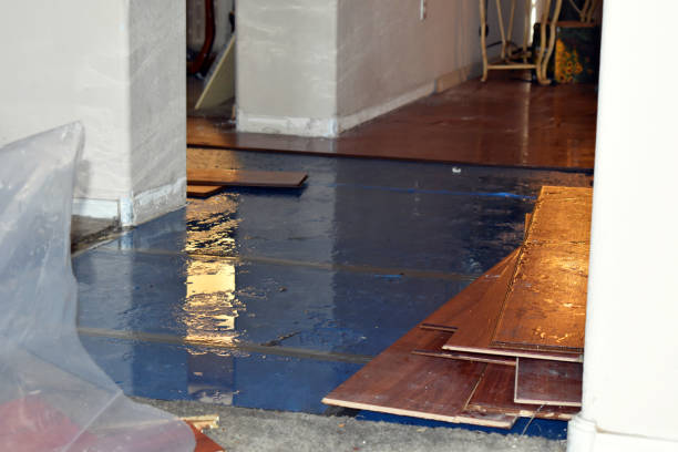 Professional Flood Cleanup technician working in Ellwood City, PA